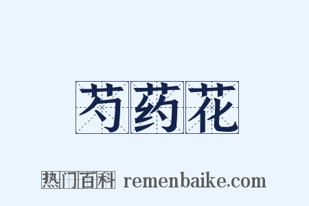 芍药花是什么意思的图片